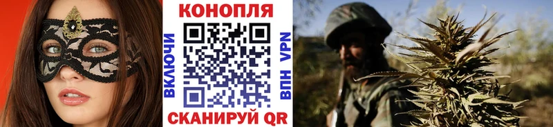 Конопля VHQ  Отрадная 